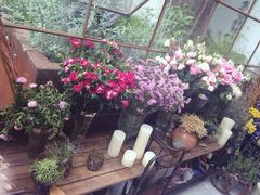 iphone_upload_pic-RGF(巨鹿路店)
