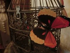 iphone_upload_pic-露西亚咖啡西餐厅(哈尔滨俄侨纪念馆店)