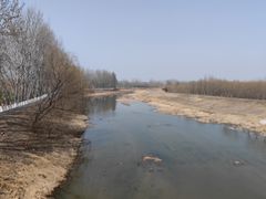 -东郊湿地公园