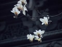 -耦园