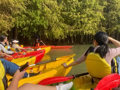 -上海海湾国家森林公园