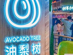 -油梨树AVOCADO TREE(嘉里中心店)