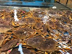 -宝燕海货工场(长江国际店)
