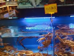 -阿伟海鲜楼·福建菜(延寿店)