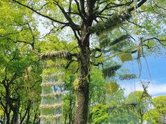 -上海鲜花港