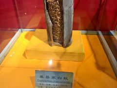 -上海昆虫博物馆