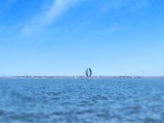 -春花秋色城市公园