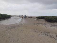 -北海金海湾红树林生态旅游区