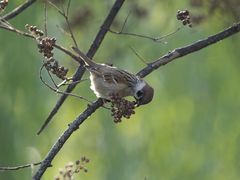 -苏州河梦清园环保主题公园