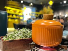 -黄晓猫剁椒大鱼头(海岸城店)