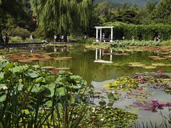 -国家植物园南园