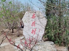 -北京凤凰岭