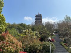 -牛首山文化旅游区