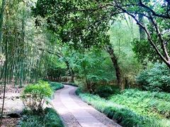 -兰亭风景区