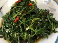 一品苦苦菜-三益轩(总店)