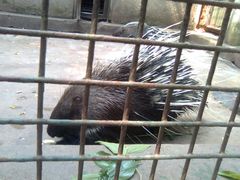 -青岛动物园