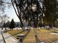 -张掖大佛寺景区