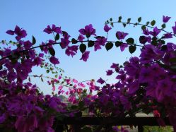 -鸿睿贝之语月子中心