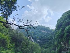 -少华山国家森林公园