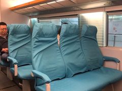 -龙阳路磁悬浮列车总站-停车场