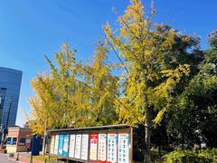 -长沙市青少年宫