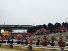 -秀丽东方