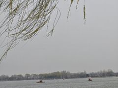 -石家庄市植物园