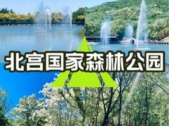 -北宫国家森林公园