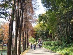 -荔银肠粉(建六店)
