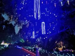 -广西壮族自治区药用植物园
