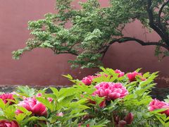 -北京市劳动人民文化宫(太庙)