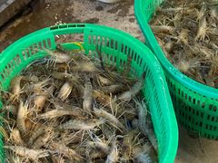 -粮心小农·大头虾亲子生态园(长发店)