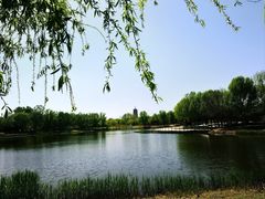 -永定河休闲森林公园