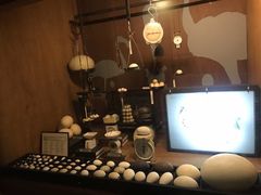 -新加坡飞禽公园