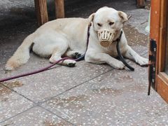 -夹夹大·蟹蟹大排档(财富又一城店)