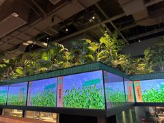 -大头椰·椰子鸡火锅(南宁万象城店)