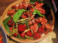 -菌自由丨野生菌火锅特色庭院餐厅(丽江古城店)