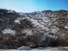 -古崖居风景名胜区