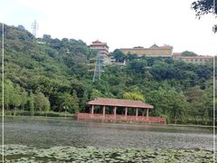-顺峰山公园