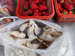 -大自然农场蔬菜草莓采摘园