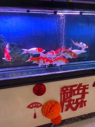 -北京叶子整形美容医院