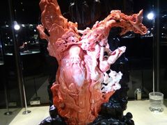-绮丽珊瑚博物馆(台东店)