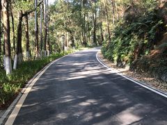 -三门江国家森林公园