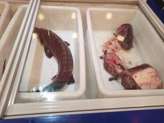 -小火炕铁锅炖鱼