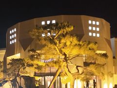 -静之湖湖畔餐厅