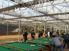 -松山湖梦幻百花洲
