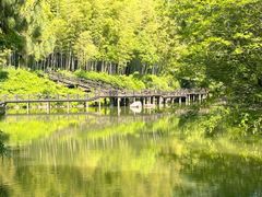 -宝岩生态观光园