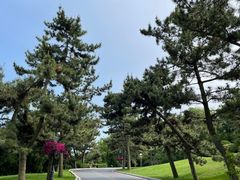 -棒棰岛宾馆景区