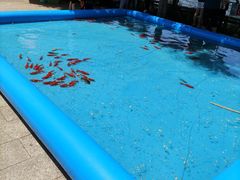 -西安汉城湖景区