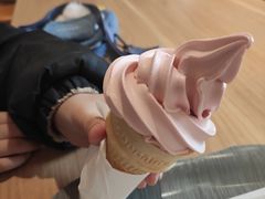 -麦当劳(大厂新城店)